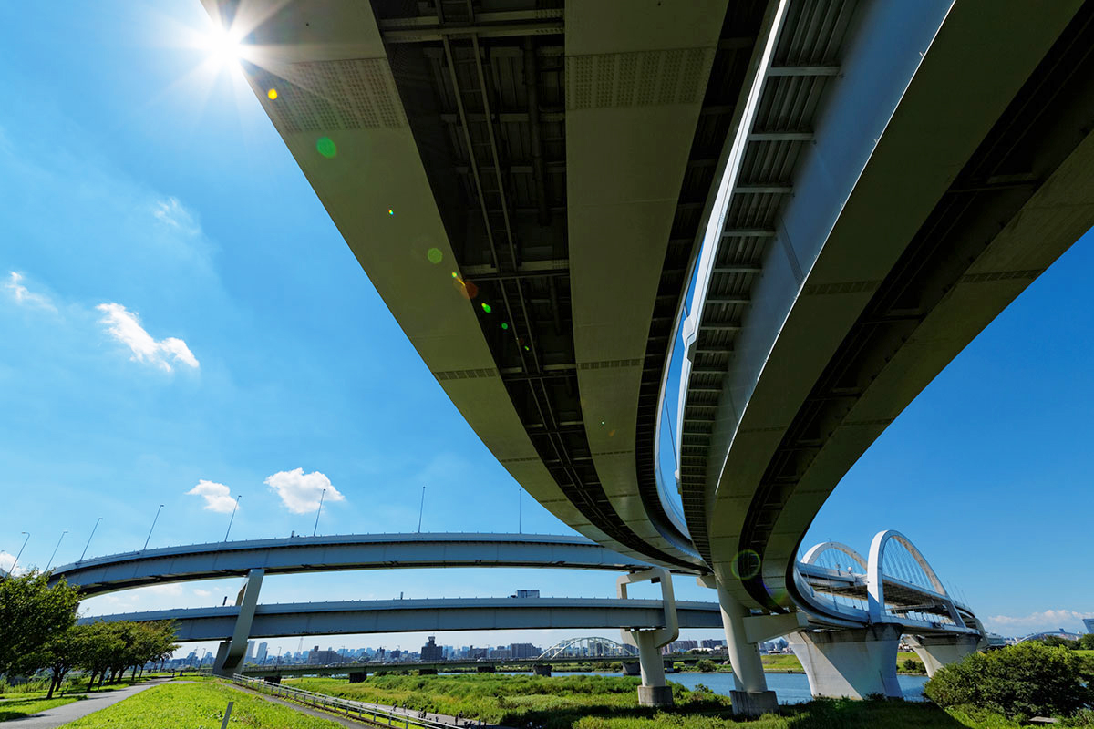 ここに動画が入ります